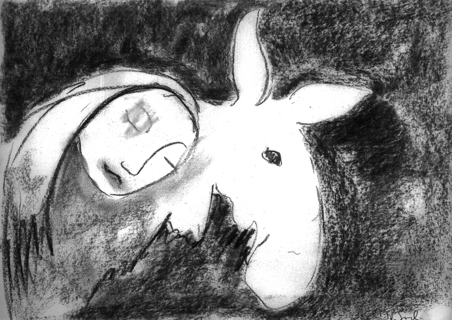 3_FylgiaHS 3_FylgiaHS